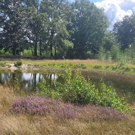 アパート Timmershoeve *