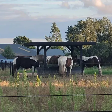 Timmershoeve Апартаменты Vorstenbosch