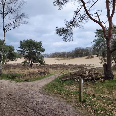 アパート Timmershoeve *