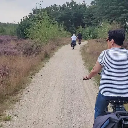 Apartmán Timmershoeve *