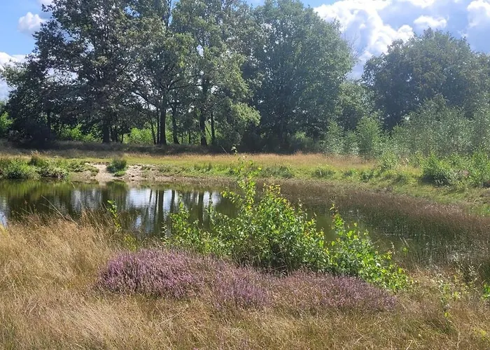 Apartmán Timmershoeve *