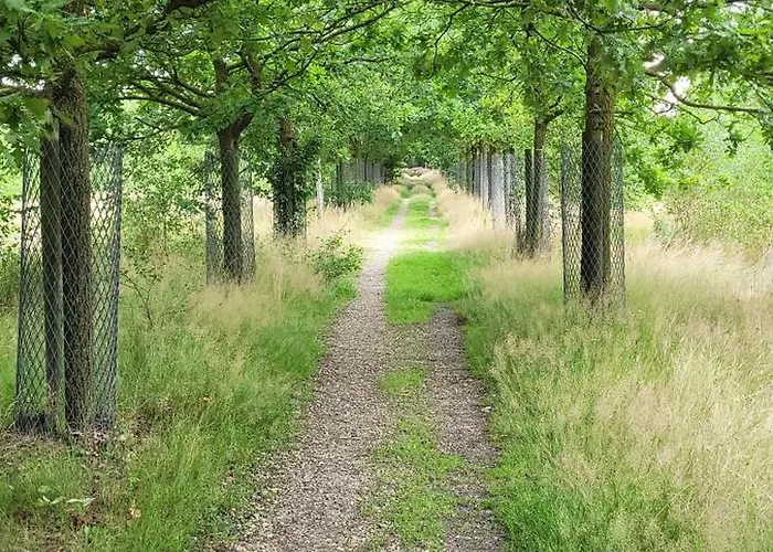 Timmershoeve Apartmán *