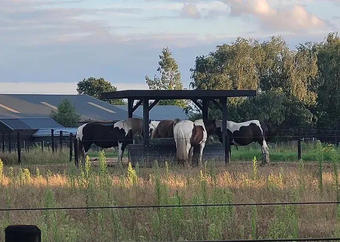 Timmershoeve Apartmán Vorstenbosch