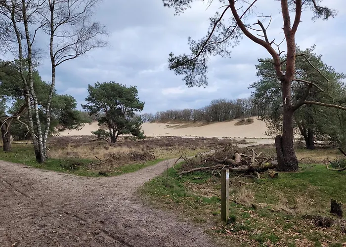 Apartmán Timmershoeve *