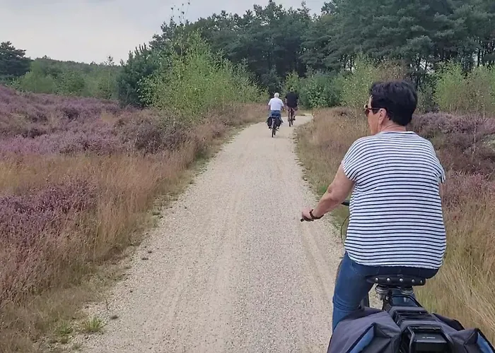 Apartmán Timmershoeve *